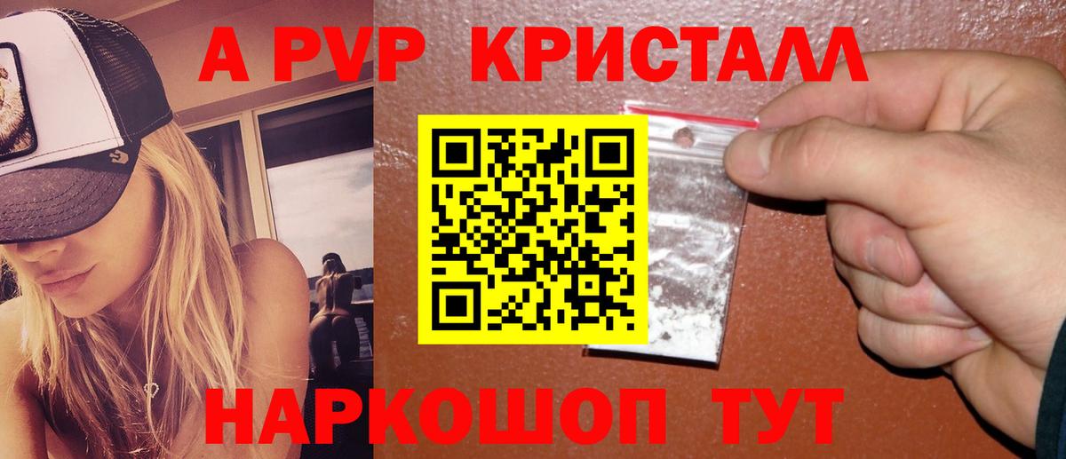A PVP СК КРИС Оренбург