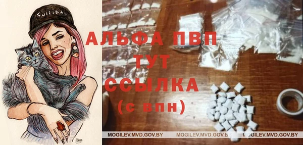 ешки Абаза