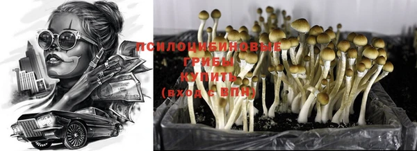 ПСИЛОЦИБИНОВЫЕ ГРИБЫ Абинск