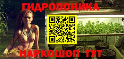 трава Новокубанск