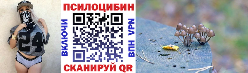 как найти закладки Оренбург Галлюциногенные грибы прущие грибы