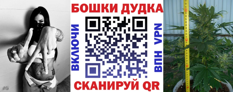 Бошки Шишки Ganja  ссылка на мегу ONION  Оренбург  где купить  